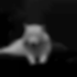 Profilbild von Leo