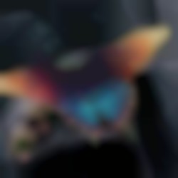 Profilbild von Sarah-Marie