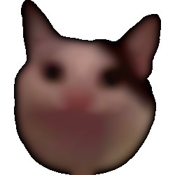 Profilbild von Denisa