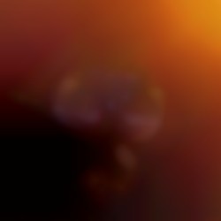 Profilbild von Philip